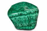 Huge, Flowery Polished Malachite Specimen ( lbs) - Congo #301583-4